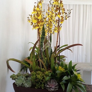Цветочная композиция с орхидеями для декора в жёлтом цвете