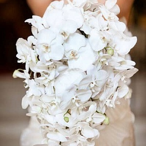 Букет невесты свадебная орхидея