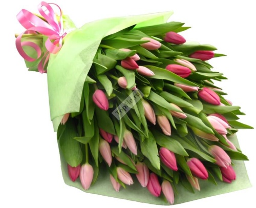 Букет Нежные тюльпаны 25